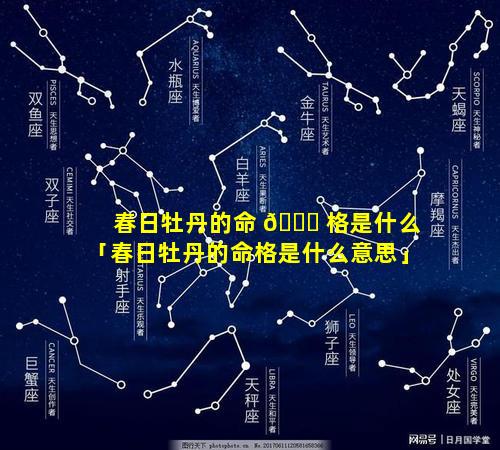 春日牡丹的命 🐝 格是什么「春日牡丹的命格是什么意思」